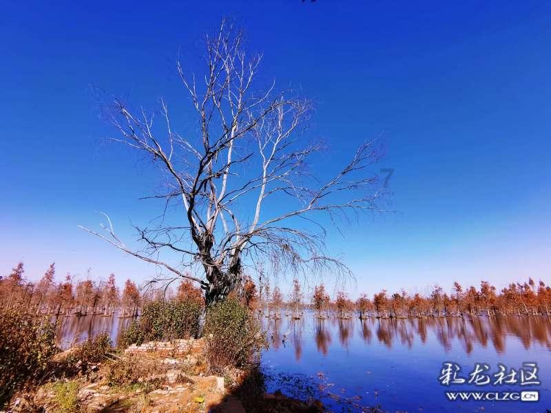 专注于知识共享的让孩子保持高效学习的方法是什么?平台